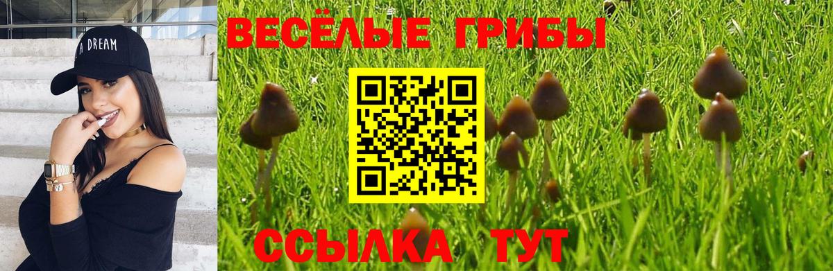 Псилоцибиновые грибы GOLDEN TEACHER  Галлюциногенные грибы Psilocybine cubensis  Сегежа  Вход с VPN 